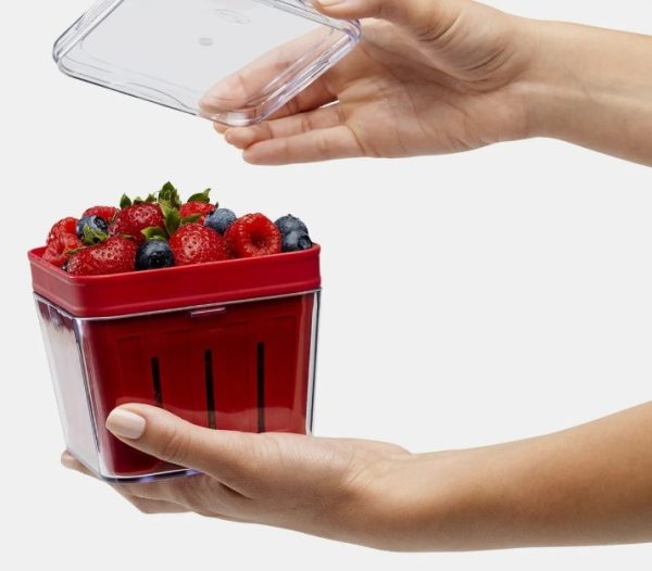 Berry Basket Bramble