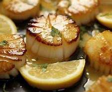 scallop