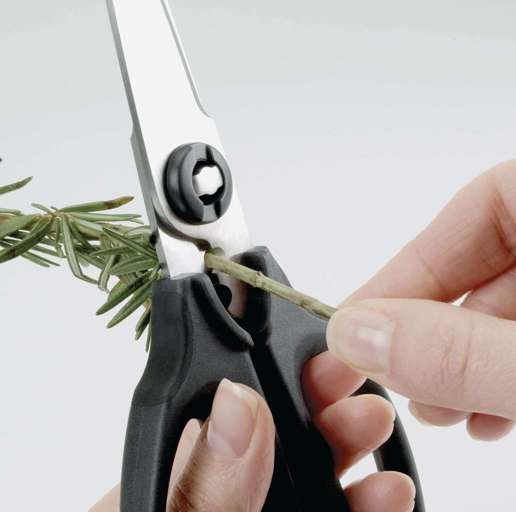 Scissors - Kitchen and Herb - Image 2