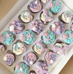 Screenshot 2026-02-14 111958